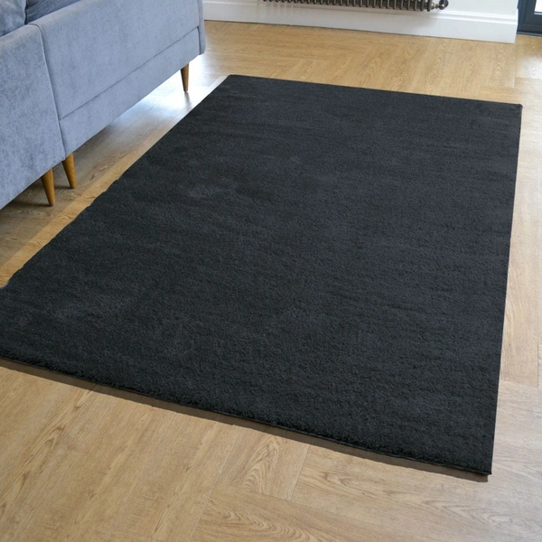 Luxe Home International Ultra Soft Microfiber Area Rug - Non-Slip, Carpet for Living Room, Bedroom, and Home Decor - 3x5 Ft, Anthra