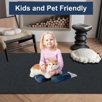 Luxe Home International Ultra Soft Microfiber Area Rug - Non-Slip, Carpet for Living Room, Bedroom, and Home Decor - 6X9, Anthra