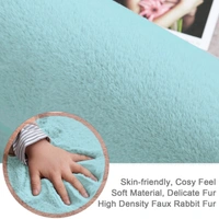 Luxe Home International Carpet Super Soft Anti Skid Rabbit Fur(1000 Gsm)Bathroom Rectangular Mats For Bedroom,Door,Kitchen Floor(3 X 5 Ft,Turquish)Pack Of 1,Turquoise - 3x5 Ft, Turquish