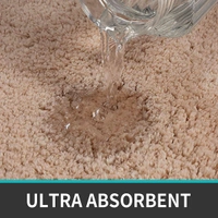 Luxe Home International Luxe Home Bathmat 2800 GSM Microfiber Anti Slip Water Absorbent Machine Washable and Quick Dry Vegas Mats for Bathroom, Kitchen, Entrance ( Rust , 45x75 Cm , Pack of 1 ) - 45x75 cm, Rust