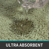 Luxe Home International Luxe Home Bathmat 2800 GSM Microfiber Anti Slip Water Absorbent Machine Washable and Quick Dry Vegas Mats for Bathroom, Kitchen, Entrance ( Green , 45x75 Cm , Pack of 1 ) - 45x75 cm, Green