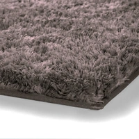 Luxe Home International Luxe Home Bathmat 2800 GSM Microfiber Anti Slip Water Absorbent Machine Washable and Quick Dry Vegas Mats for Bathroom, Kitchen, Entrance ( Cocoa , 45x75 Cm , Pack of 1 ) - 45x75 cm, Cocoa