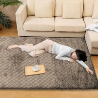 Luxe Home International Luxe Home Carpet Austria Floor Rug Rabbit Fur 1000 GSM Living Room Foot Mats Anti Skid Water Absorbent Easy Machine Washable Rug ( Taupe , 4 Ft x 6 Ft , Pack of 1 ) - 4x6 Ft, Taupe