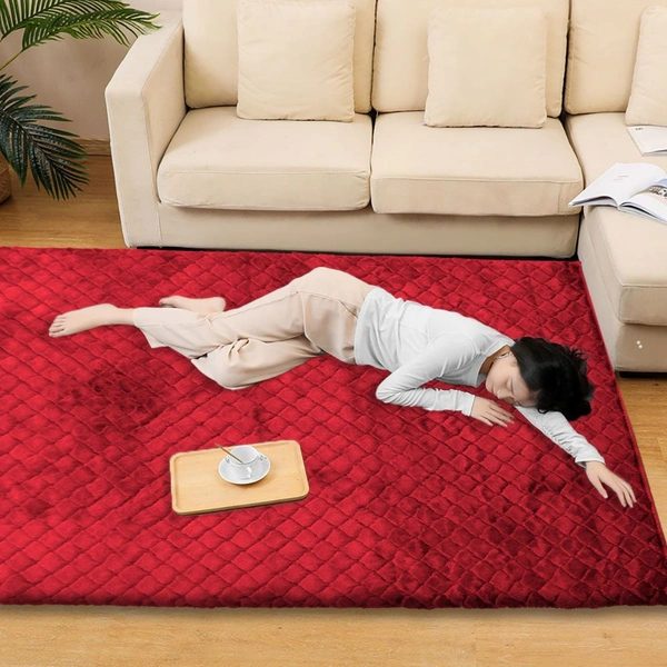 Luxe Home International Luxe Home Carpet Austria Floor Rug Rabbit Fur 1000 GSM Living Room Foot Mats Anti Skid Water Absorbent Easy Machine Washable Rug ( Maroon , 3 Ft x 5 Ft , Pack of 1 ) - 3x5 Ft, Maroon