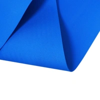 Luxe Home International Luxe Home EVA Single-layer Yoga Mat ( Size - 2x6 Ft , Color - Blue ) - Blue