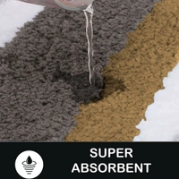 Luxe Home International Bathmat Italia Microfiber 2500 GSM Anti-Skid Super Soft ( A.Gold , 40 Cm x 60 Cm , Pack of 1 ) - 40x60 cm, Anti Gold