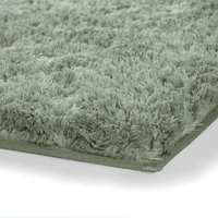 Luxe Home International Carpet Super Soft Anti Slip Vegas Rectangular Rugs For Bedroom,Livingroom(Pastel Green,3X5 Feet) - 3x5 Ft, Pastel Green