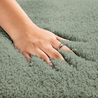 Luxe Home International Carpet Super Soft Anti Slip Vegas Rectangular Rugs For Bedroom,Livingroom(Pastel Green,4X6 Feet) - 4x6 Ft, Pastel Green