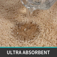 Luxe Home International Luxe Home Runner 2800 GSM Microfiber Anti Slip Water Absorbent Machine Washable and Quick Dry Vegas Mats for Bathroom, Kitchen, Entrance ( Gold , 2x5 Ft , Pack of 1 ) - 2x5 Ft, Gold