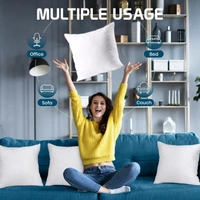 Luxe Home International Luxe Home Stripe Cushion Filler 16 inch x 16 inch for Sofa Cushion Covers (White, Set of 1) - 40x40 Cm, White