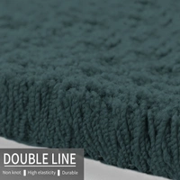 Luxe Home International Bathmat Sensuous Microfiber 2500 GSM Anti-Skid ( H.Green , 40 Cm x 60 Cm , Pack of 1 ) - 40x60 cm, Anthra