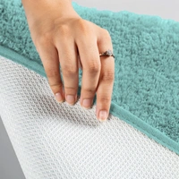Luxe Home International Luxe Home Bathmat 2800 GSM Microfiber Anti Slip Water Absorbent Machine Washable and Quick Dry Vegas Mats for Bathroom, Kitchen, Entrance ( Aqua , 40x60 Cm , Pack of 1 ) - 40x60 cm, Aqua