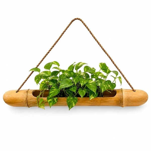 FAIRBIZPS HDPE Grow Bag and Bamboo Vase Combo for Home & Garden Decor | Reusable Heavy Duty Planter Bag with Decorative Bamboo Flower Vase | Indoor & Outdoor Gardening & Living Room Decoration Set