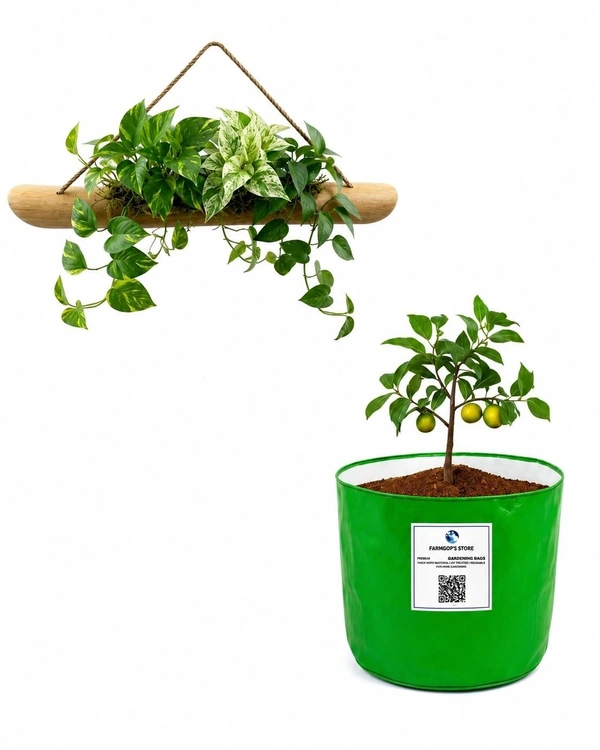 FAIRBIZPS HDPE Grow Bag and Bamboo Vase Combo for Home & Garden Decor | Reusable Heavy Duty Planter Bag with Decorative Bamboo Flower Vase | Indoor & Outdoor Gardening & Living Room Decoration Set