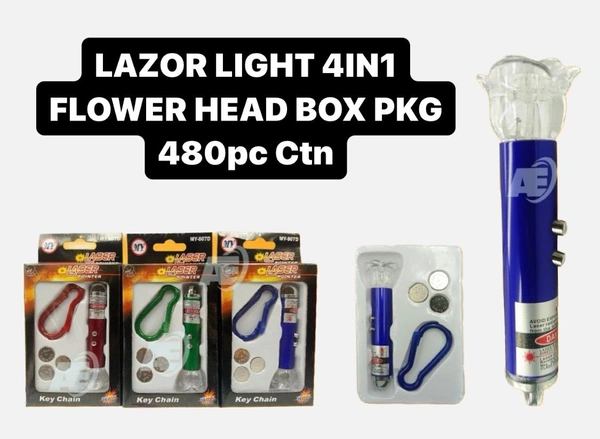 Laser Light 4 in 1 (1pc Set)