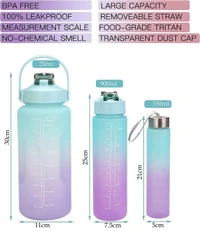 Motivational Bottle 3pc Set (2000ml + 900ml + 350ml)