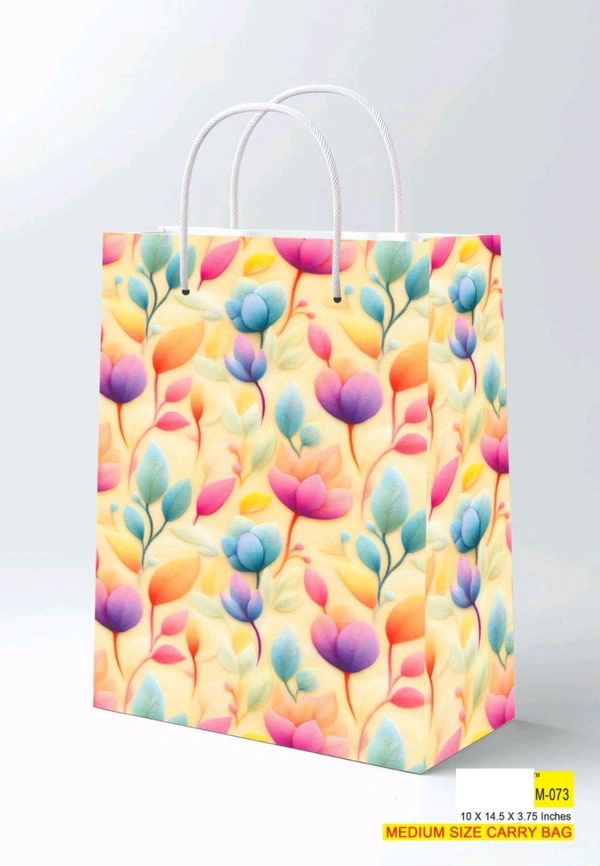 Printed Paper Bags 10x14.50x3.75 Inch (Series 1)