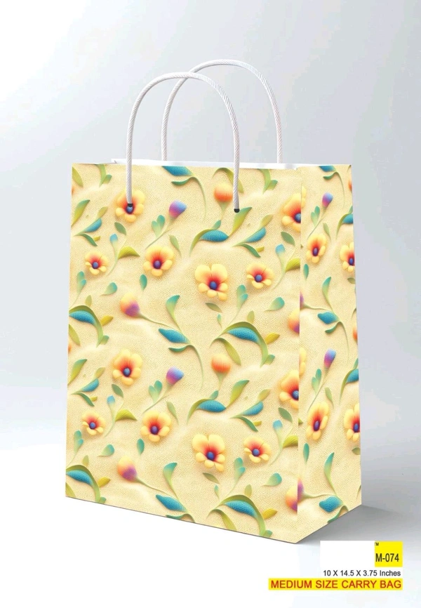 Printed Paper Bags 10x14.50x3.75 Inch (Series 1)
