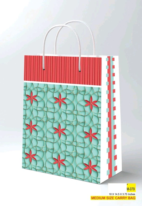 Printed Paper Bags 10x14.50x3.75 Inch (Series 2)