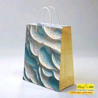 Printed Paper Bags 16.50x13x4.50 Inch (Series 1)