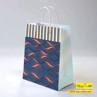 Printed Paper Bags 16.50x13x4.50 Inch (Series 1)