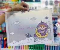 Zip Lock Bag A4 Size (Mix Designs)