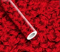 Magic Pearl Wrapping Sheet New 50x70 1 (25 Sheets) 