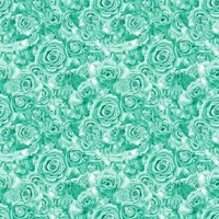 Magic Pearl Wrapping Sheet New 50x70 1 (25 Sheets) 