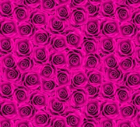 Magic Pearl Wrapping Sheet New 50x70 1 (25 Sheets) 