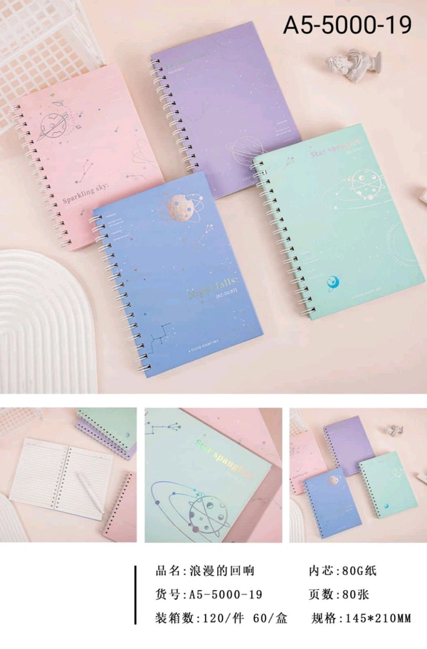 A5-5000-19 Spiral A5 160pg Diary