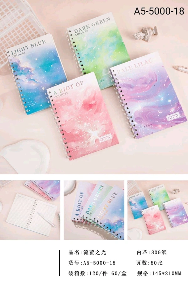 A5-5000-18 Spiral A5 160pg Diary