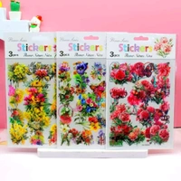 WX-SX Transparent Pet Stickers 3 Sheets (Mix Design)