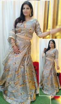 Beautiful lehnga choli - 40 Bust