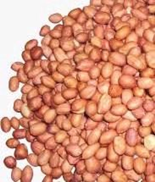 Singdana Bold - 500g