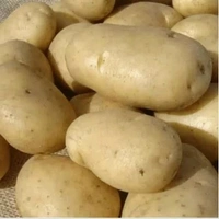 Aloo - 1 Kg