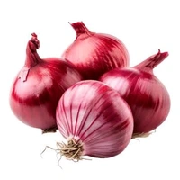 Pyaj Onion  New  - 1 Kg