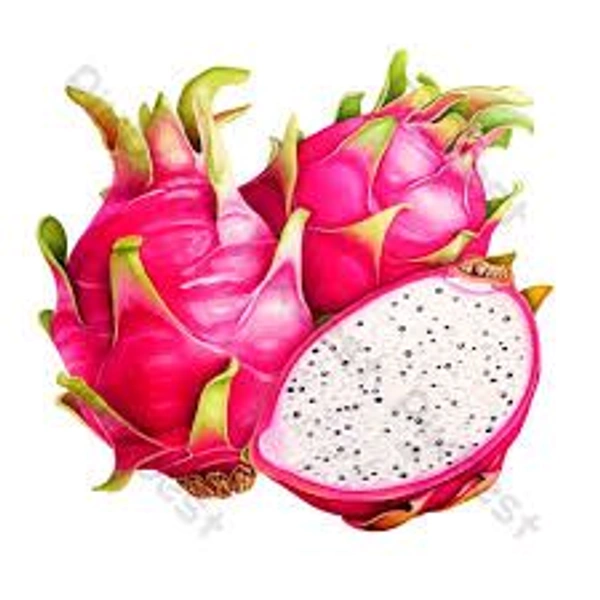 DRAGON - FRUIT 