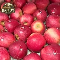 Kashmiri FRESH Apple ( Sweet ) - 1 kg