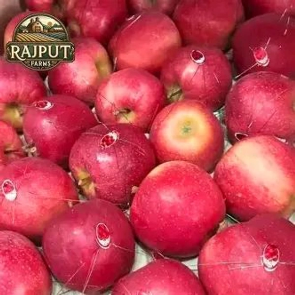 Kashmiri FRESH Apple ( Sweet ) - 1 kg