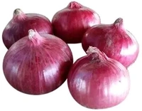 Onion Pyaj प्याज ( New )  - 2 kg