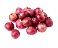 Onion Pyaj प्याज ( New )  - 5 kg