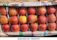 Apple Kashmiri  - 1 kg