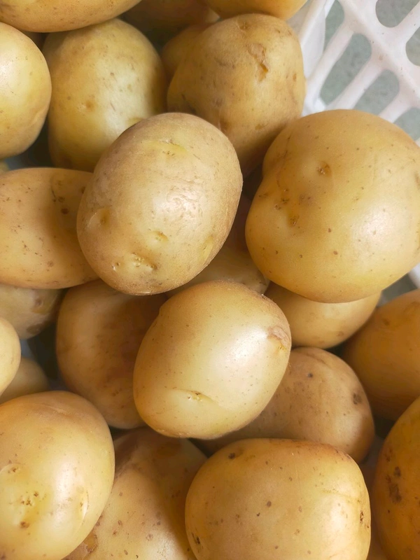 Aloo New  1 Kg