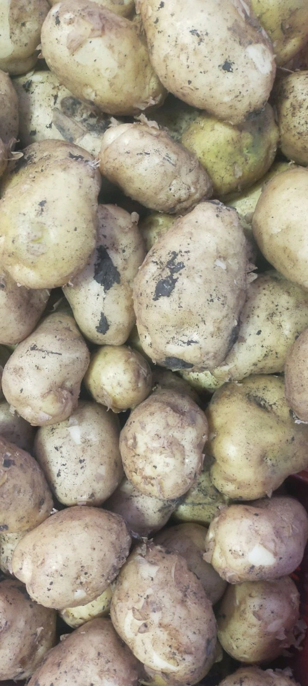 Aloo New - 1 kg