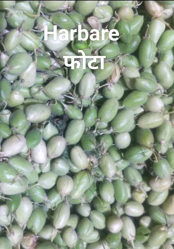 Harbare  फोटा   250g