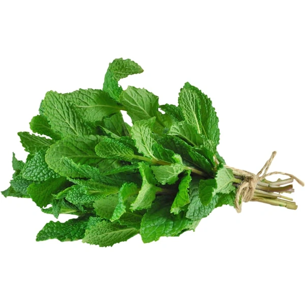 Pudina Hara (Mint Leaves)   (1 Gadi