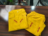 KDJ 3704 Beautiful Kurta & Plazo - 2XL-44