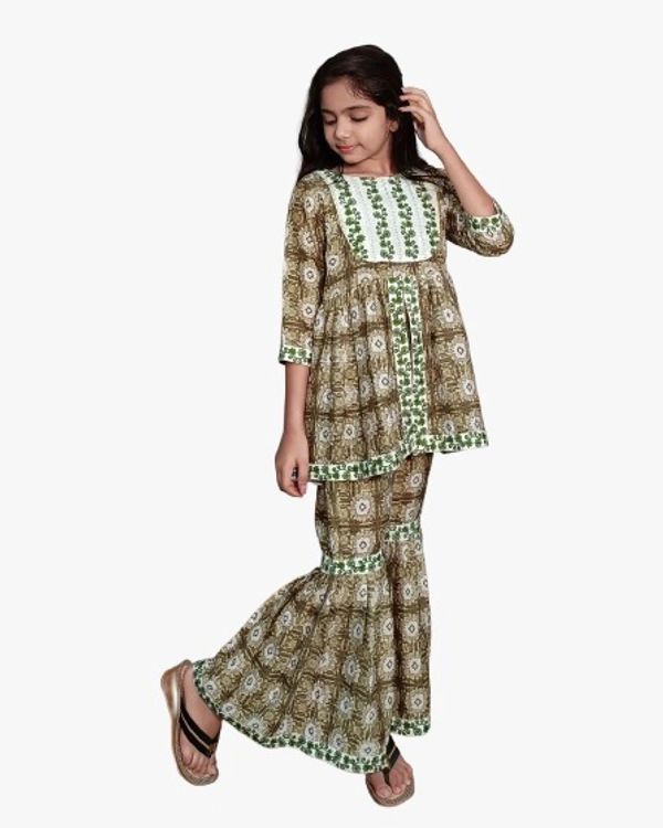 ARM JHAPPI SHARARA PAIR - 24, Wild Watermelon