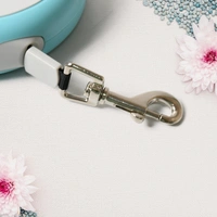 Retractable Dog Belt
