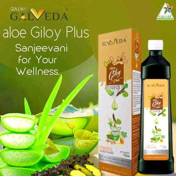 Galway Aloi Giloy Juice